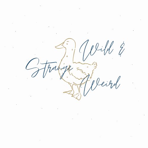 Strange & Wild & Weird