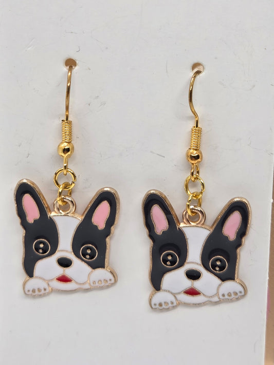Boston Terriers